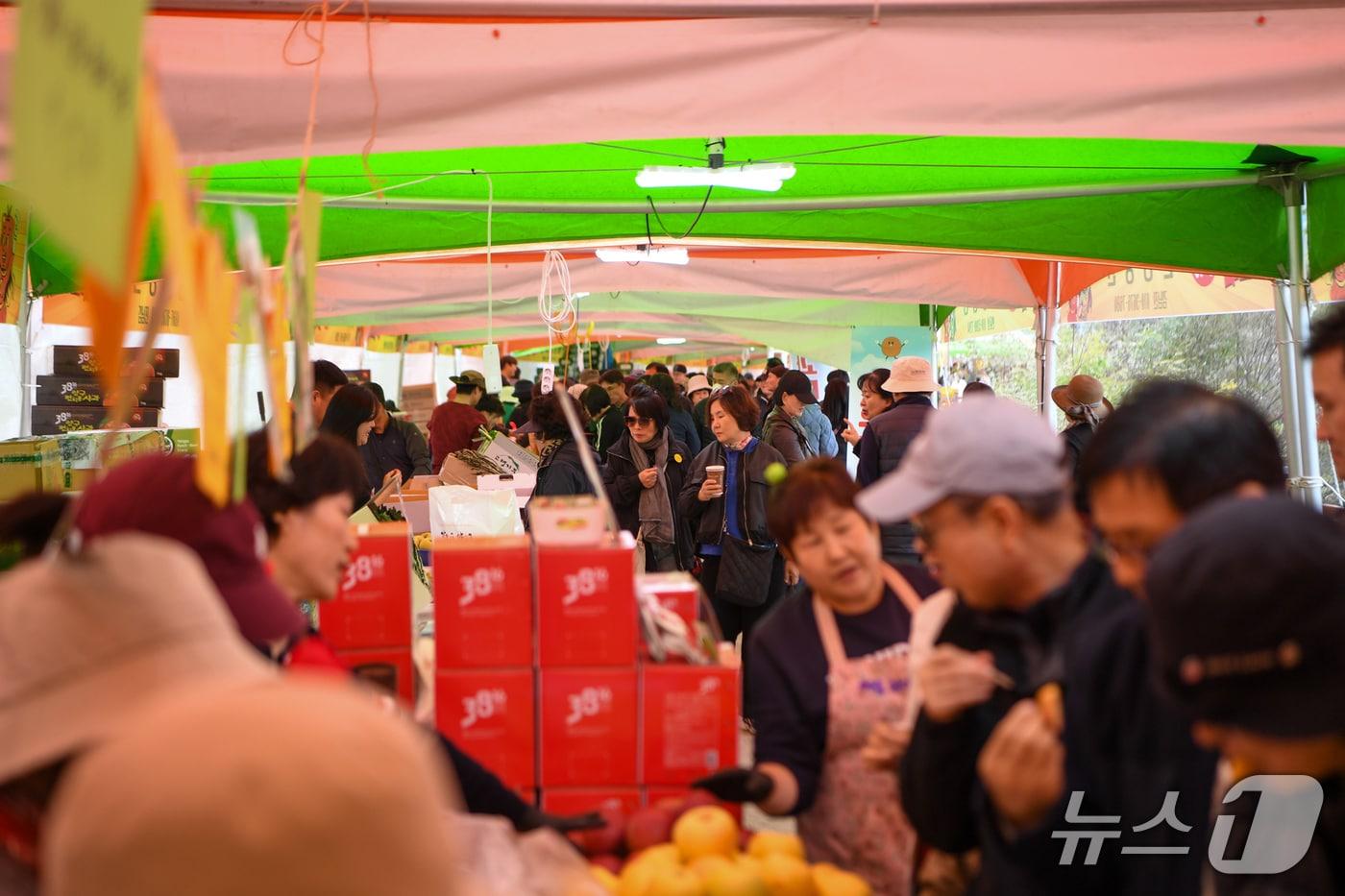 본문 이미지 - 지난해 열린 청춘양구 펀치볼시래기사과축제.(양구군 제공. 재판매 및 DB금지)(제공. 재판매 및 DB금지)/뉴스1