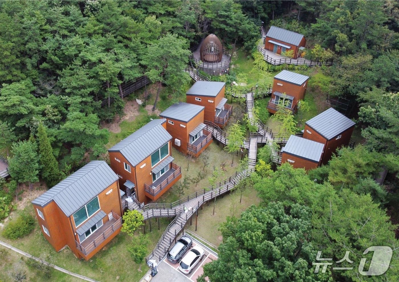 본문 이미지 - 국립대전숲체원 (산림청 제공.재판매 및 DB금지)/뉴스1