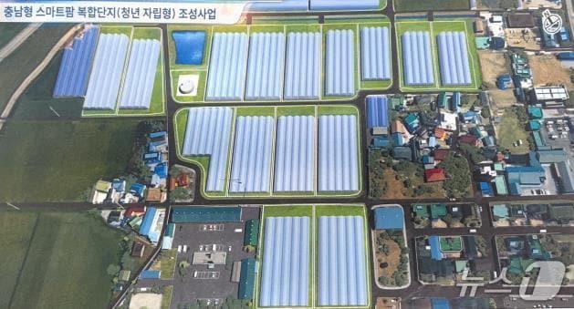 본문 이미지 - 충남형 스마트팜 전경(논산시 제공.재판매 및 DB금지)/뉴스1