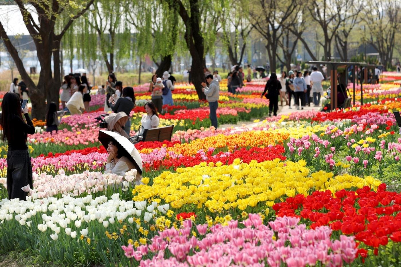 본문 이미지 - 용비휴식정원(성동구 제공)