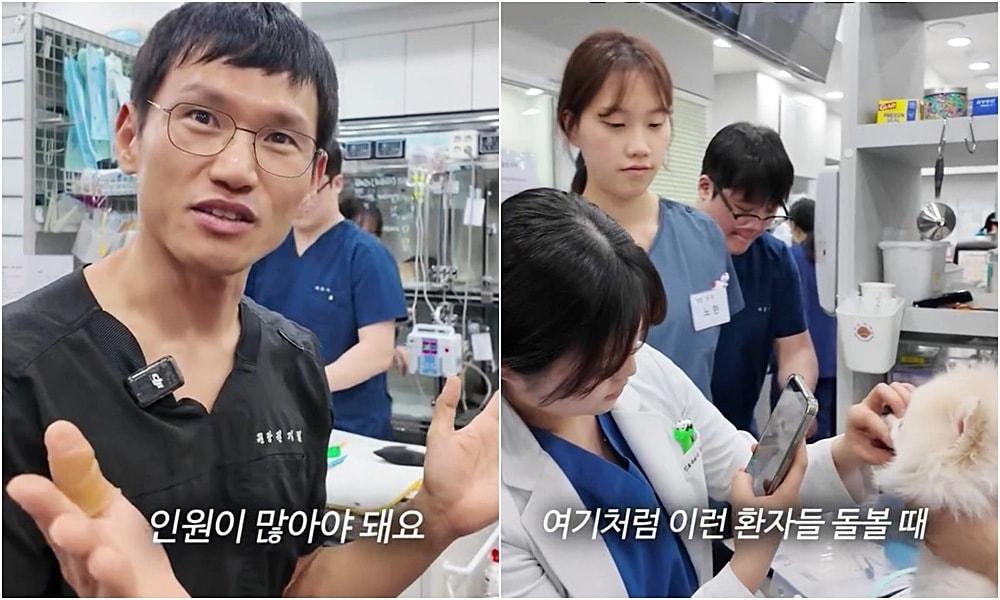 본문 이미지 - 예은동물의료센터가 최근 SNS에 올린 환자(동물)보다 사람이 더 많은 동물병원 영상이 누리꾼들의 공감을 얻고 있다(예은동물의료센터 인스타그램 갈무리). ⓒ 뉴스1
