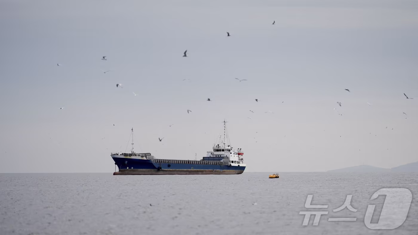 본문 이미지 - 12일(현지시간) 호르무즈 해협의 오만 무산담주 해안에 있는 선박의 모습. 2026.04.12. ⓒ 로이터=뉴스1