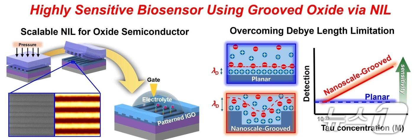 본문 이미지 -  나노임프린트 리소그래피(NIL)를 이용한 트랜지스터 기반 바이오센서 제작 및 디바이 길이 한계 극복 대한 모식도. (경기대 제공. 재판매 및 DB 금지) 2026.4.14/뉴스1