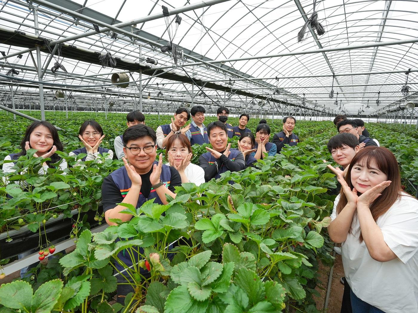 본문 이미지 - 세븐일레븐 임직원과 협력사 관계자들이 봉농원에서 일손 돕기 프로그램을 진행하고 있다.(세븐일레븐 제공)