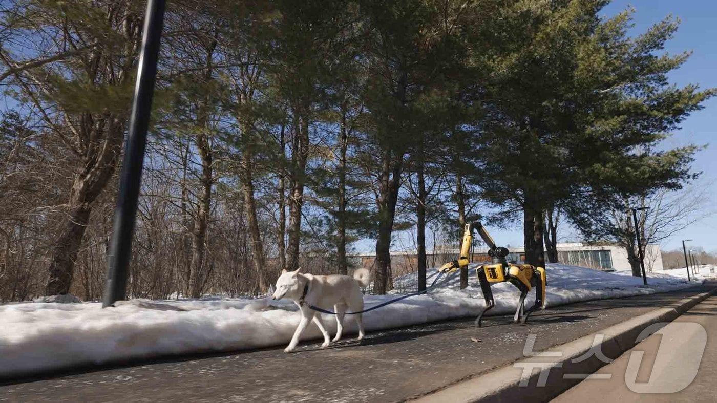 본문 이미지 - 현대차그룹의 로보틱스 계열사 보스턴다이나믹스는 14일(현지시간) 자사 유튜브 채널을 통해 구글의 AI ‘제미나이’가 적용돼 한층 똑똑해진 4족 보행 로봇 스팟의 영상을 공개했다고 15일 밝혔다. (현대차·기아 제공. 재판매 및 DB 금지) 2026.4.15 ⓒ 뉴스1