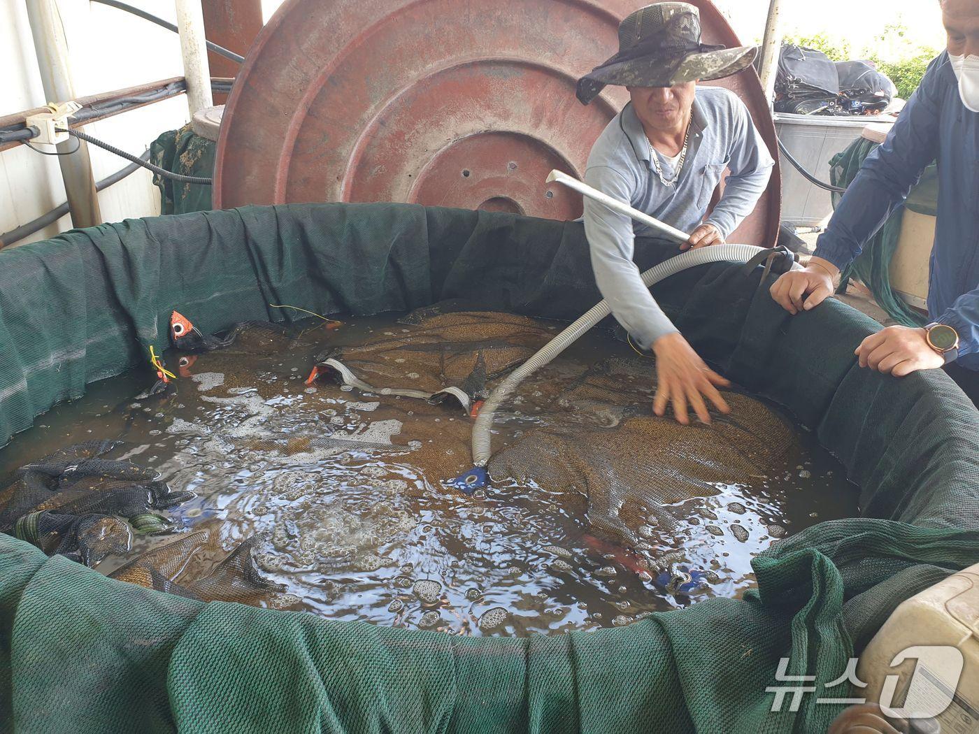 본문 이미지 - 종자소독 모습(당진시 제공. 재판매 및 DB금지)2026.4.15/뉴스1
