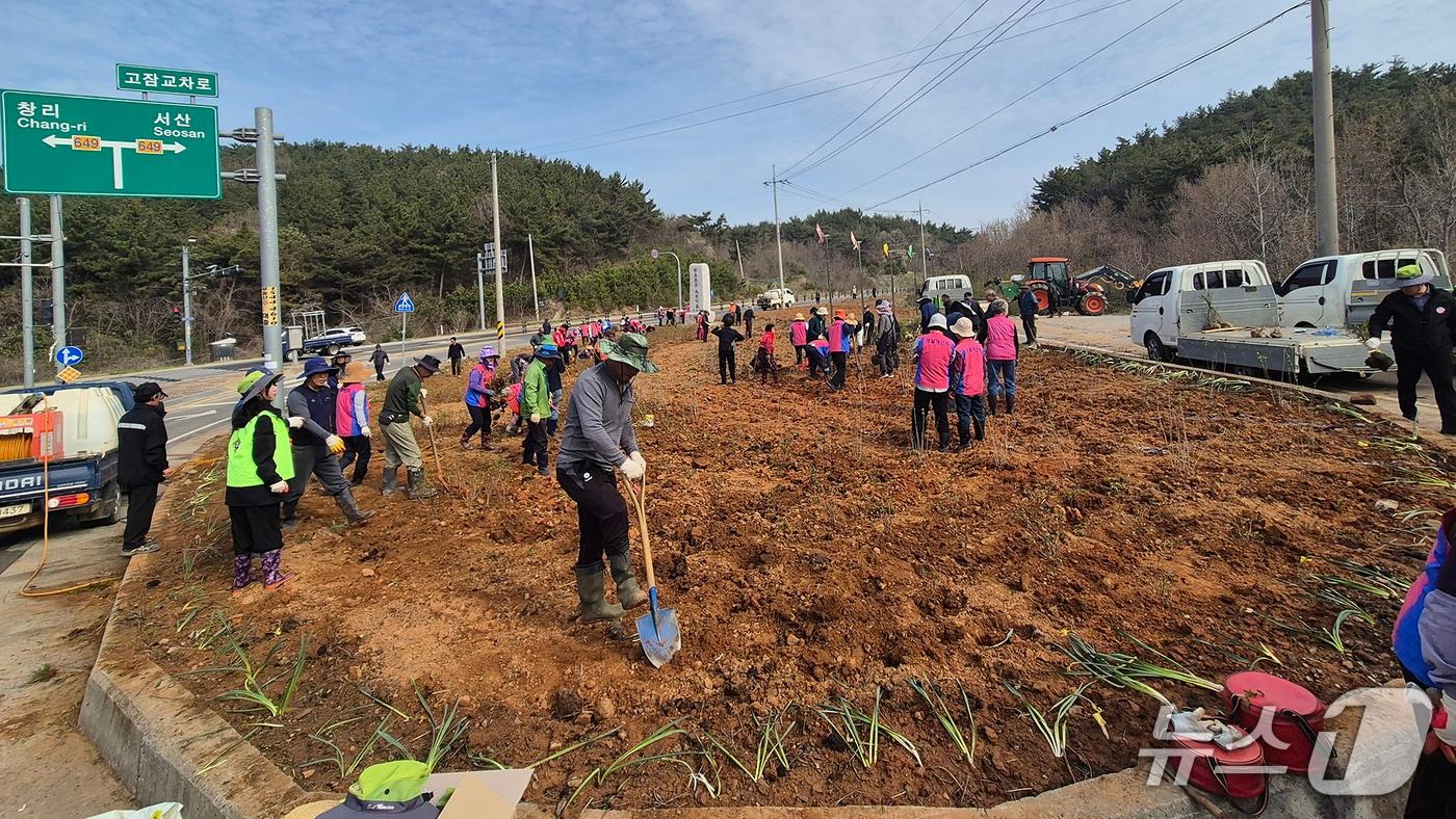 본문 이미지 - 지난 14일 부석면 마룡리 일원에서 진행된 모종 식재 행사 모습(서산시 제공. 재판매 및 DB금지)2026.4.15/뉴스1