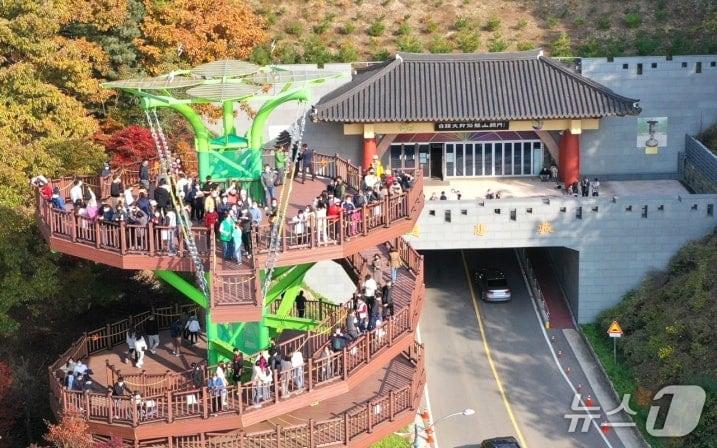 본문 이미지 - 속리산 말티재 전망대 (보은군 제공. 재판매 및 DB금지) 