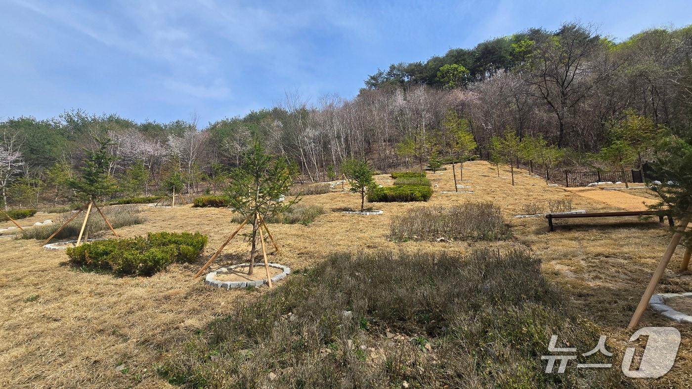 본문 이미지 - 홍천군 추모공원 내 산분장지.(홍천군 제공. 재판매 및 DB금지)/뉴스1