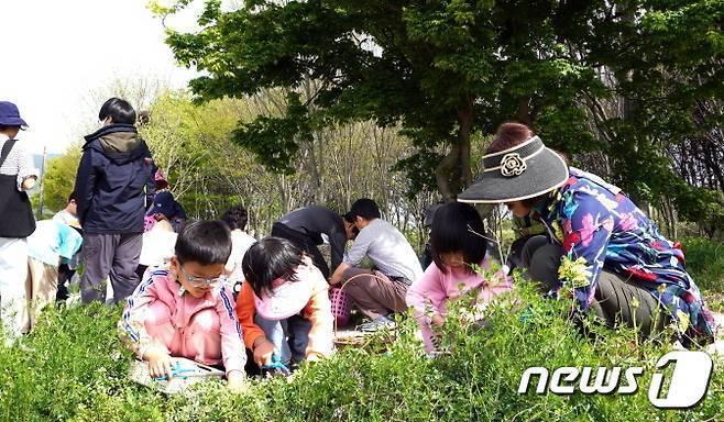 본문 이미지 - 생태학습을 하고 있는 전북 임실 지사초등학교(지사초 제공)/뉴스1DB