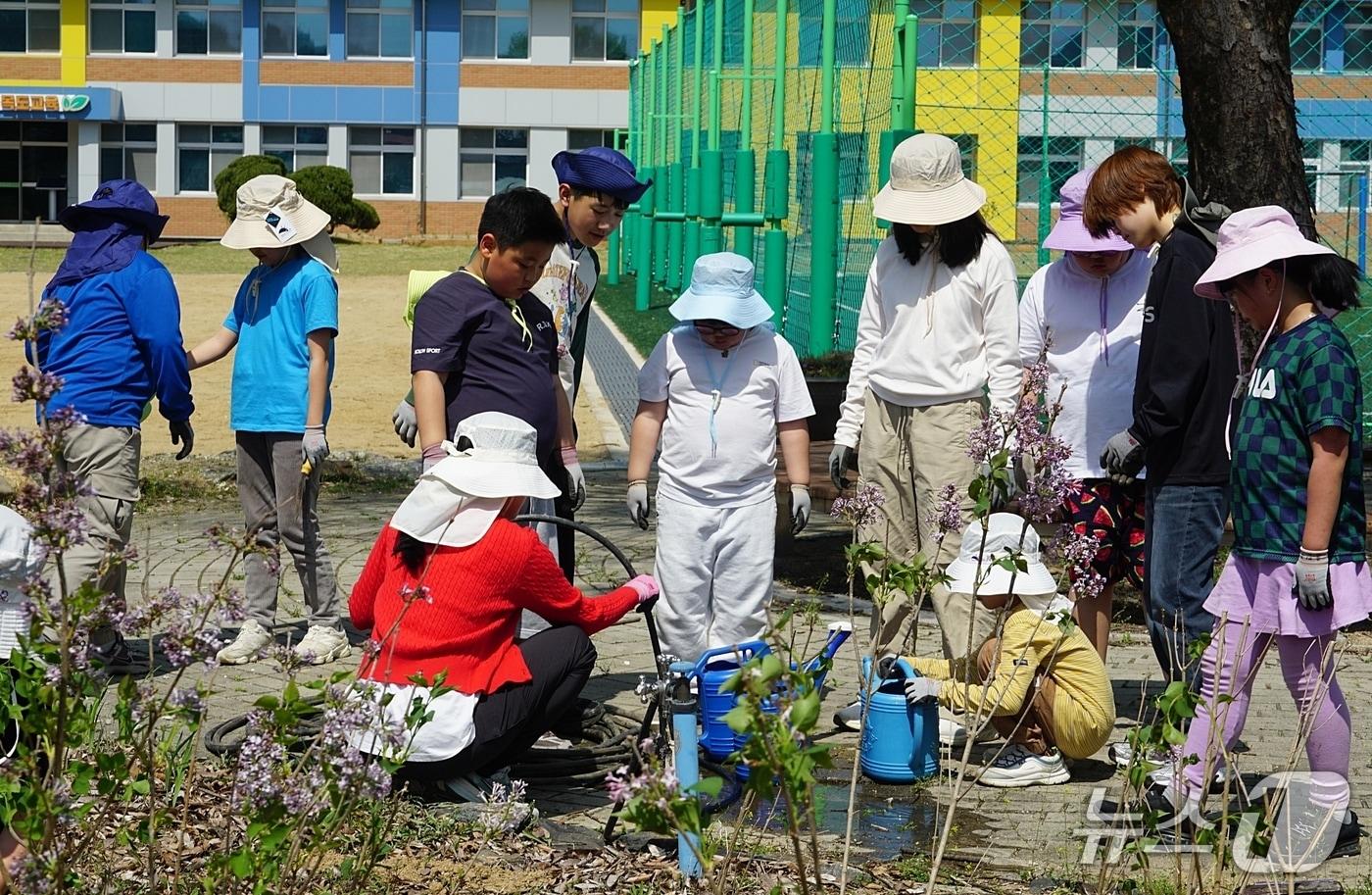 본문 이미지 - 괴산 목도초, 학교숲 조성 나무심기.(괴산증평교육지원청 제공. 재판매 및 DB금지)