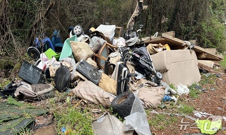 본문 이미지 - 만장굴 인근에 버려진 생활폐기물(곶자왈사람들 제공. 재판매 및 DB금지)/뉴스1