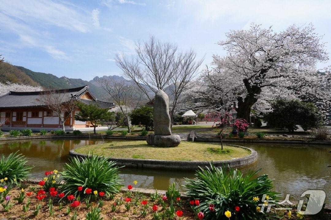 본문 이미지 - 고흥 능가사 전경