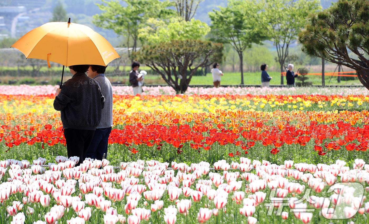 본문 이미지 - 산책하는 시민들.(뉴스1 DB)
