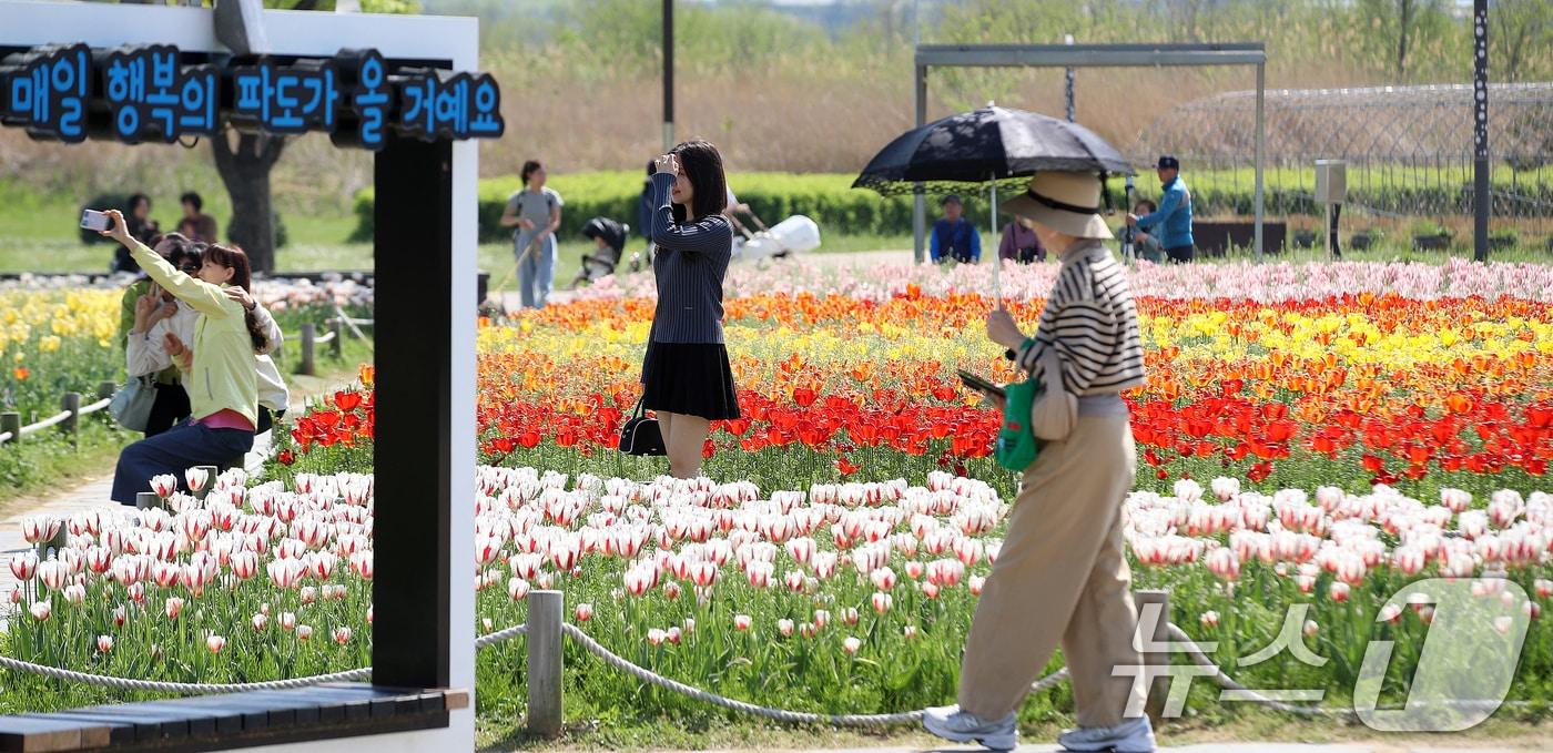 본문 이미지 - 완연한 봄 날씨를 보인 15일 오후 경남 양산 황산공원을 찾은 시민들이 활짝 핀 튤립을 구경하며 봄기운을 즐기고 있다. 2026.4.15 ⓒ 뉴스1 윤일지 기자