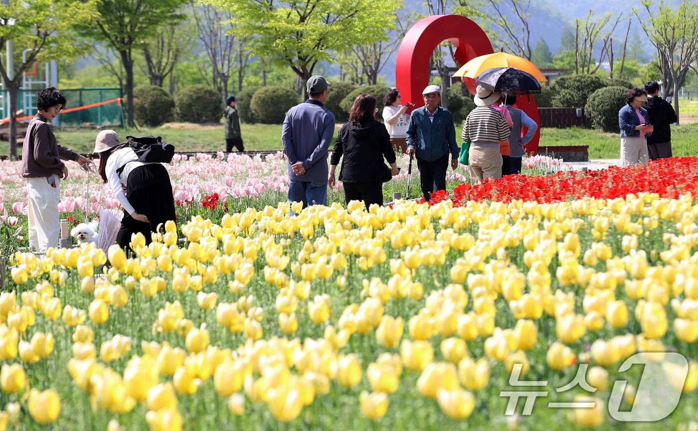본문 이미지 - 자료사진. 2026.4.15 ⓒ 뉴스1 윤일지 기자