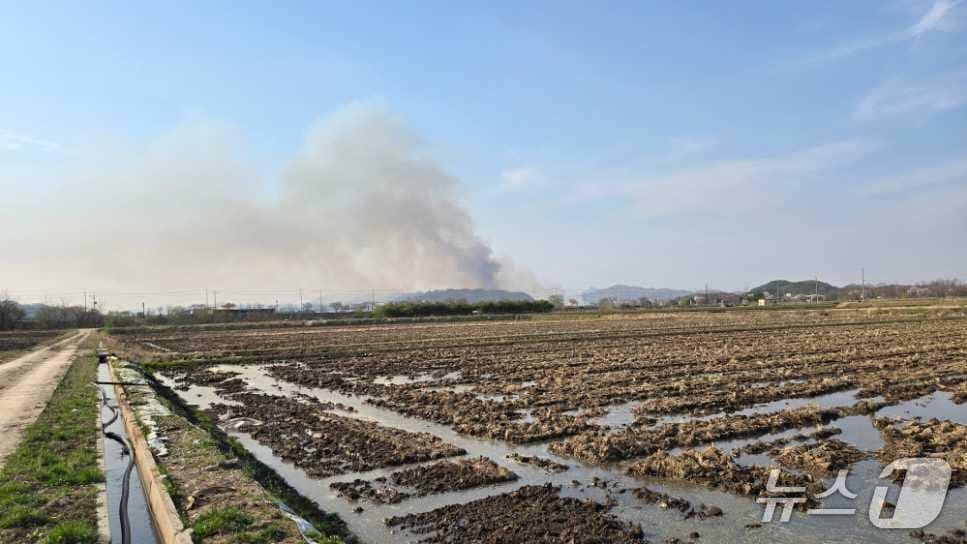 본문 이미지 - 강원 철원 근남면 마현리 산불 현장.(강원도소방본부 제공, 재판매 및 DB금지)
