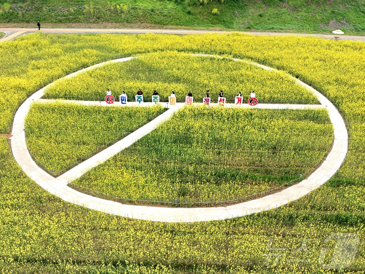본문 이미지 - 전라남도선거관리위원회가 15일 나주 영산강 유채꽃밭에 기표모양 꽃길을 조성해 6·3지방선거 투표참여 홍보를 진행하고 있다.(전남선관위 제공, 재배포 및 DB 금지)2026.4.15 ⓒ 뉴스1