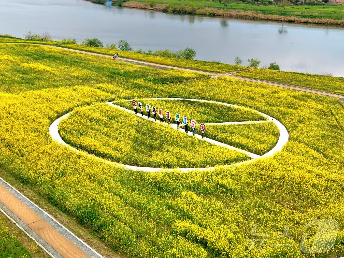 본문 이미지 - 전라남도선거관리위원회가 15일 나주 영산강 유채꽃밭에 기표모양 꽃길을 조성해 6·3지방선거 투표참여 홍보를 진행하고 있다.(전남선관위 제공, 재배포 및 DB 금지)2026.4.15 ⓒ 뉴스1