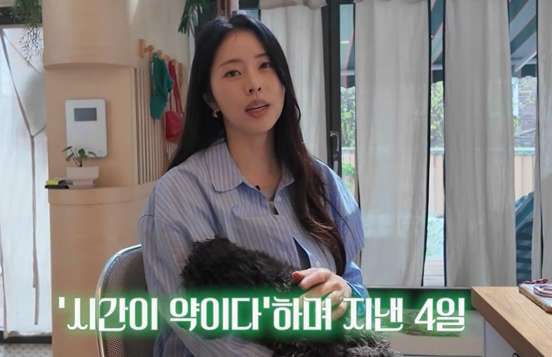 본문 이미지 - 방송인 서동주 유튜브