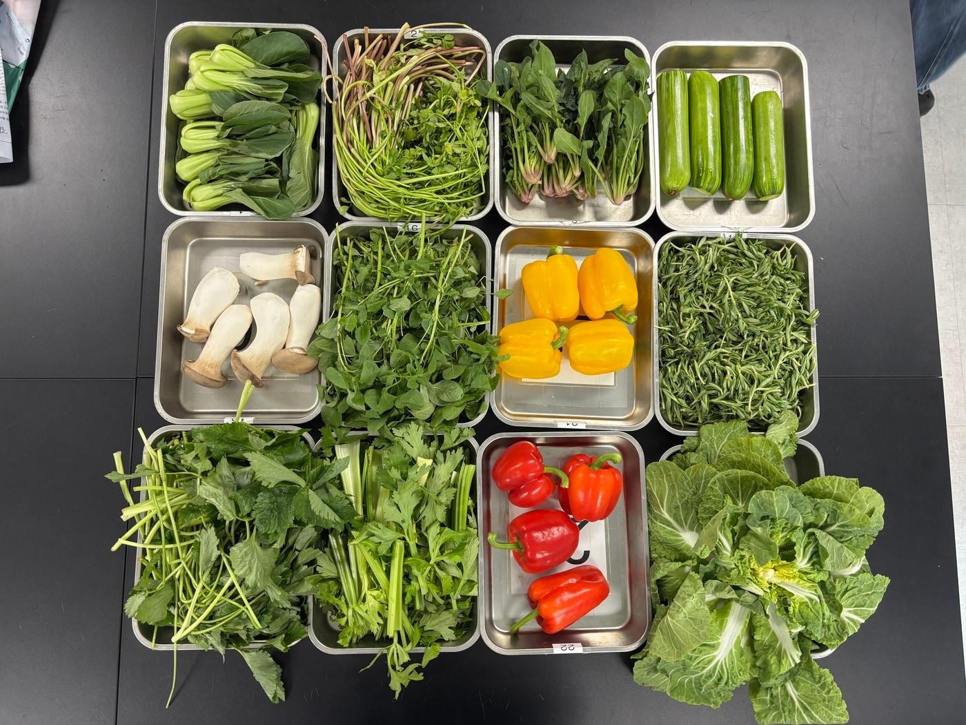 본문 이미지 - 농산물 검사 식재료(서울시 제공)