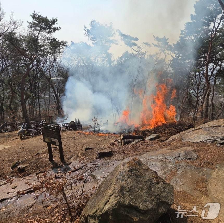 본문 이미지 - 지난 3월 12일 발생한 수원 팔달산 일대 화재 현장. (경기도소방재난본부 제공. 재판매 및 DB금지) 2026.3.12/뉴스1