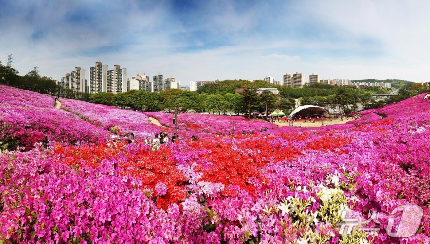 본문 이미지 - 경기 군포시 철쭉동산. (군포시 제공. 재판매 및 DB 금지) 2026.4.16/뉴스1
