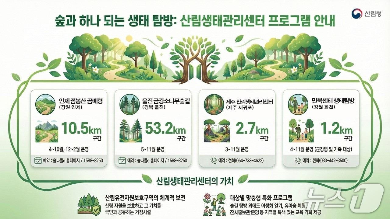 본문 이미지 - (산림청 제공.재판매 및 DB금지)/뉴스1 