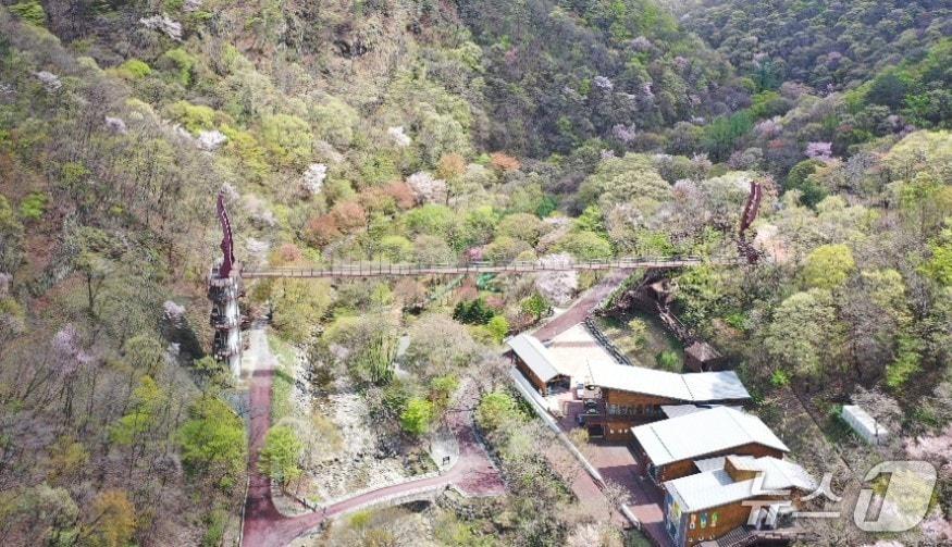 본문 이미지 - 금산산림문화타운 (금산군 제공.재판매 및 DB금지)/뉴스1