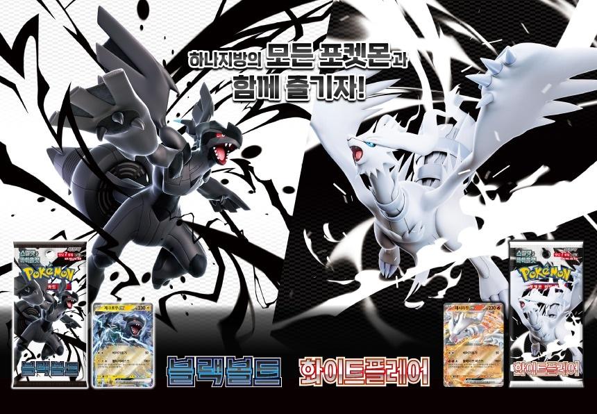 본문 이미지 - (포켓몬코리아 누리집 갈무리)