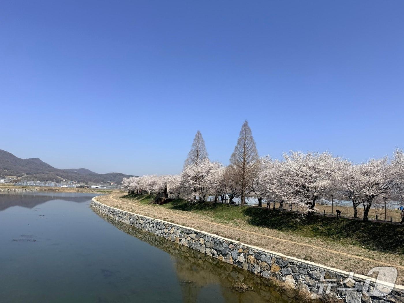 본문 이미지 -  음성군 생극면 응천공원 풍경.(음성군 제공. 재판매 및 DB금지)