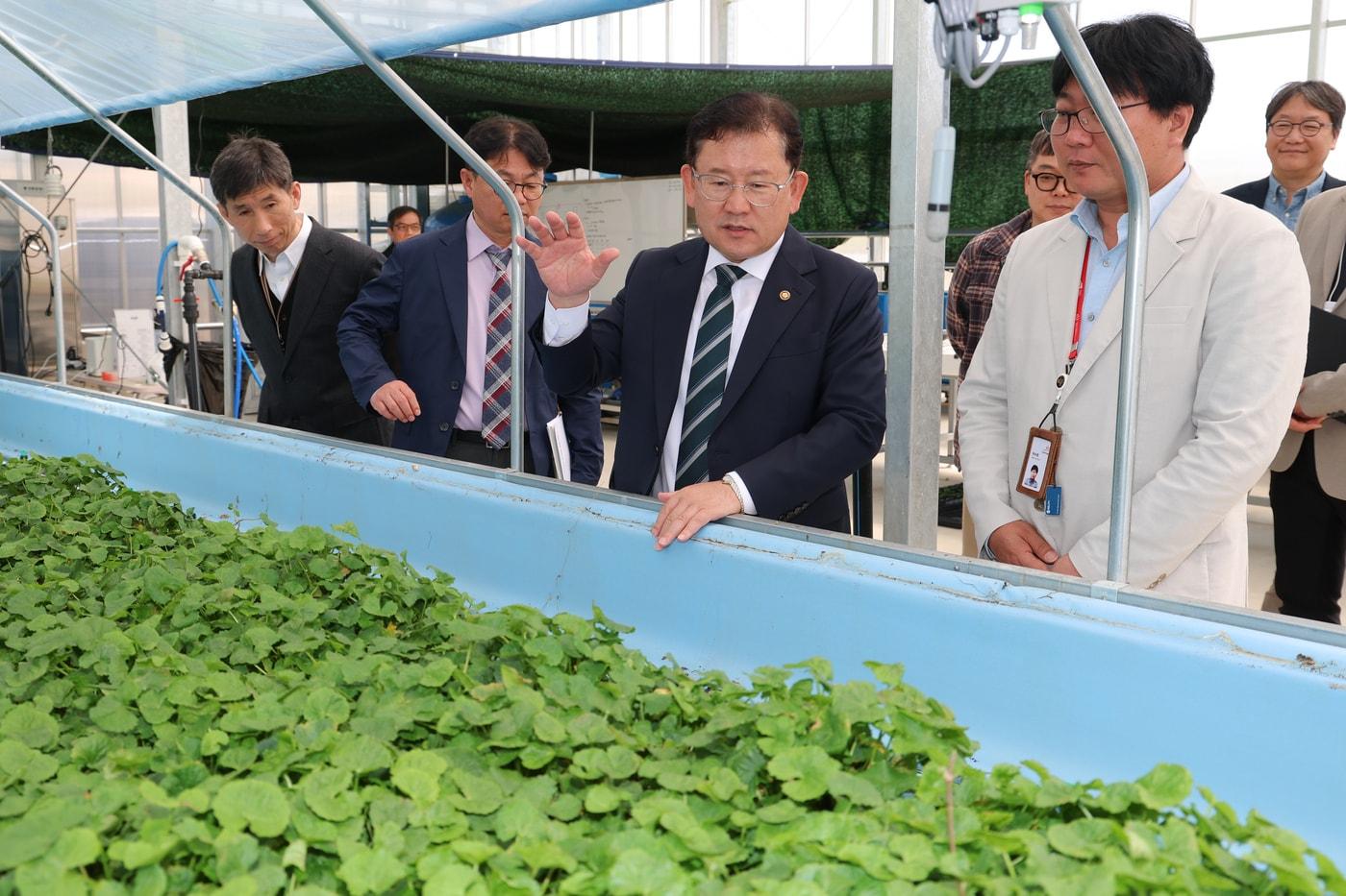본문 이미지 - 이승돈 농촌진흥청장은 16일 강원도 평창군 한국과학기술연구원(KIST) 강릉분원 '횡계 인공지능(AI) 실증온실'을 방문해 연구시설을 점검하고 스마트농업 기술 협력 방안을 논의하고 있다. (농촌진흥청 제공. 재판매 및 DB금지) 2026.4.16/뉴스1