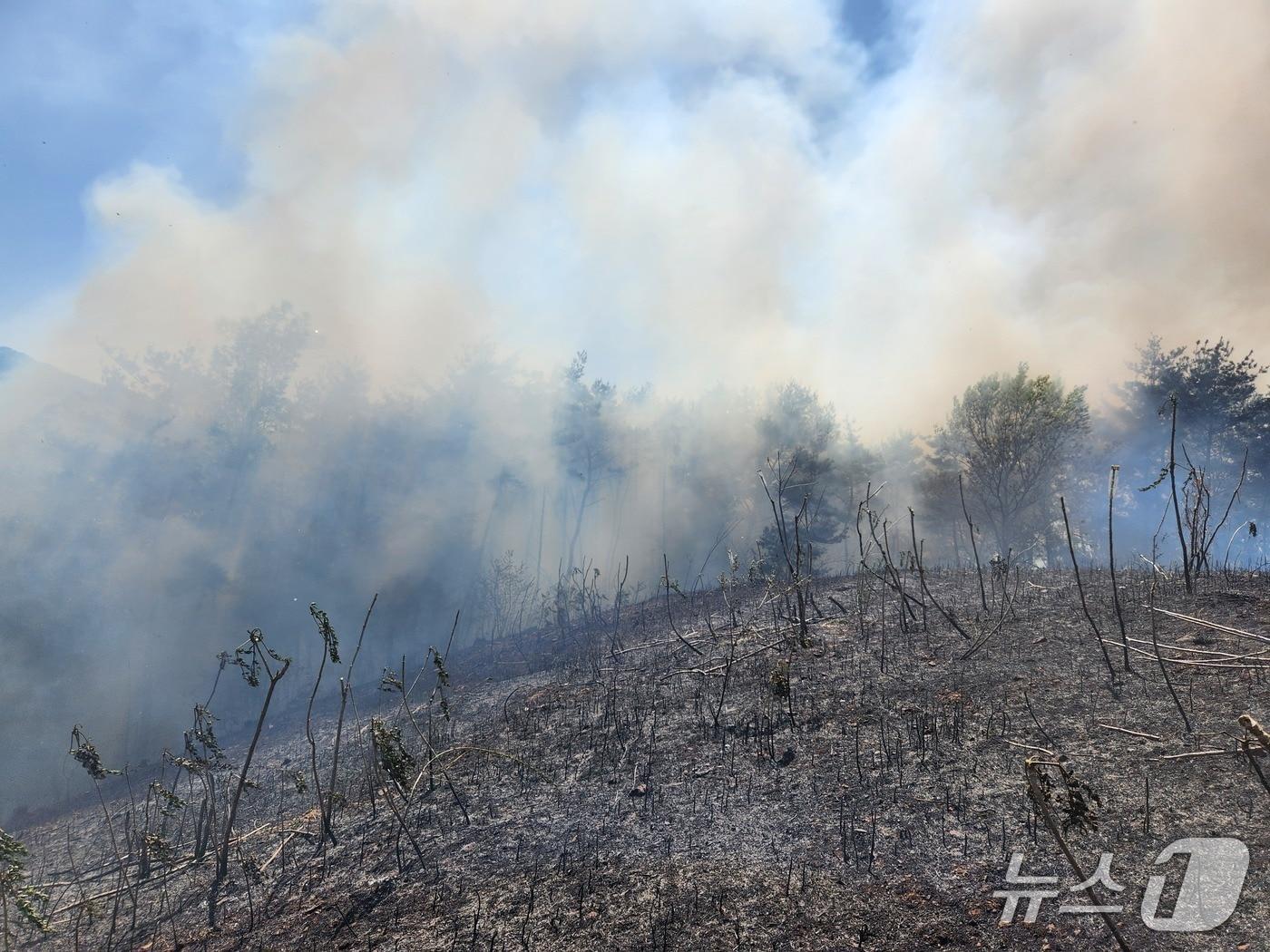 본문 이미지 - 16일 전남 광양의 한 야산에 불이 나 소방당국이 진화 작업을 벌이고 있다.(사진=전남소방본부 제공)