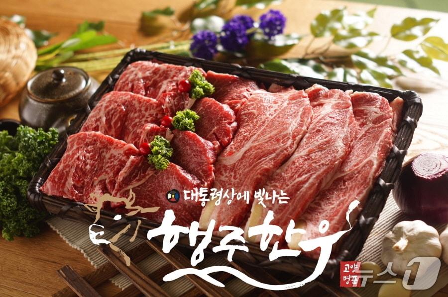 본문 이미지 - 고양시가 새롭게 특화농산물로 지정한 '행주한우' (고양시 제공, 재판매 및 DB금지)