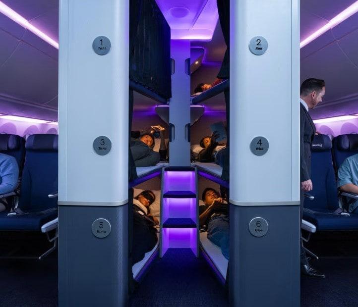 본문 이미지 - (출처=에어뉴질랜드)