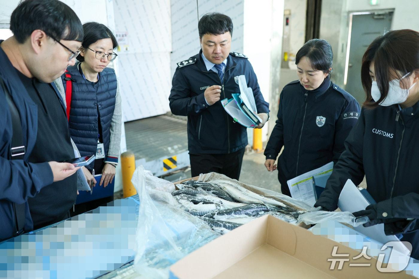 본문 이미지 - 부산세관은 16일 해양수산부, 수협중앙회와 함께 할당관세가 적용된 냉동 고등어의 보세창고 반출 현황 및 시장 유통 실태를 점검하기 위한 합동점검을 실시했다. (부산세관 제공. 재판매 및 DB금지)