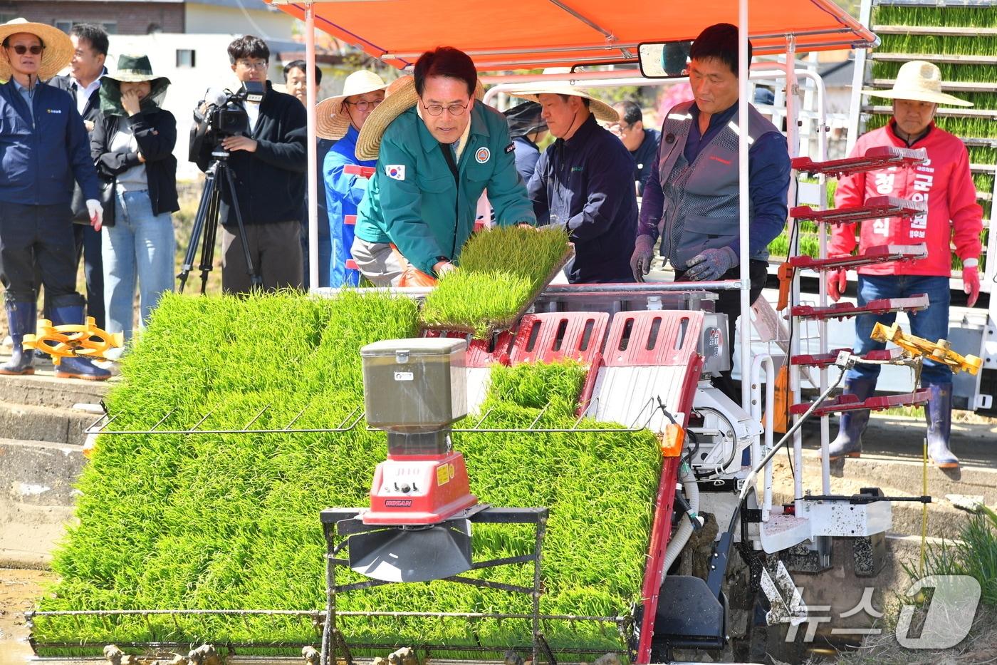 본문 이미지 - 이순걸 울주군수가 16일 울주군 두서면 전읍리 농가에서 모내기를 하고 있다. (울주군 제공. 재판매 및 DB 금지) /뉴스1 