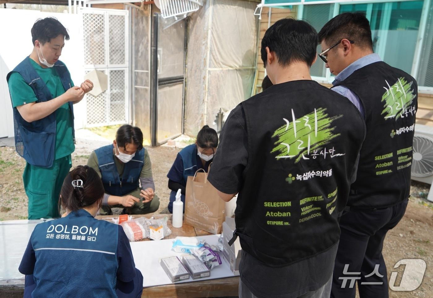 본문 이미지 - 녹십자수의약품과 돌봄동물병원은 15일 보호소 봉사활동을 진행했다(녹십자수의약품 제공). ⓒ 뉴스1