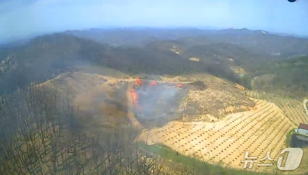 본문 이미지 - 16일 오후 2시 25분쯤 경북 안동시 길안면 백자리 야산 인근 벌채목 더미에서 불이 났다. (경북소방본부 제공. 재판매 및 DB 금지) 2026.4.16/뉴스1