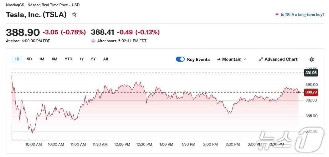 본문 이미지 - 테슬라 일일 주가 추이 - 야후 파이낸스 갈무리