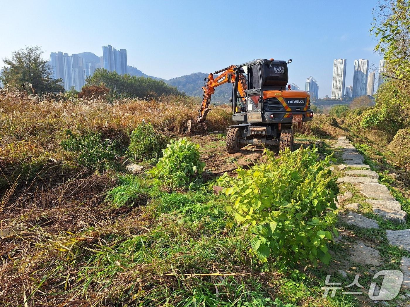 본문 이미지 - 대구 달성군이 서재리 일대 하천 주변 불법시설을 철거·정비하고 있다.(대구 달성군 제공. 재판매 및 DB금지)