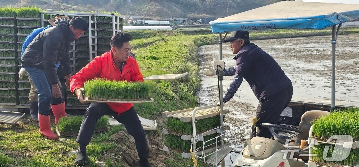 본문 이미지 - 전진선 경기 양평군수가 지난 15일 양평군 지평면 수곡리 전경복 씨 농가에서 모내기를 돕고 있다.(양평군 제공. 재판매 및 DB 금지)/뉴스1 
