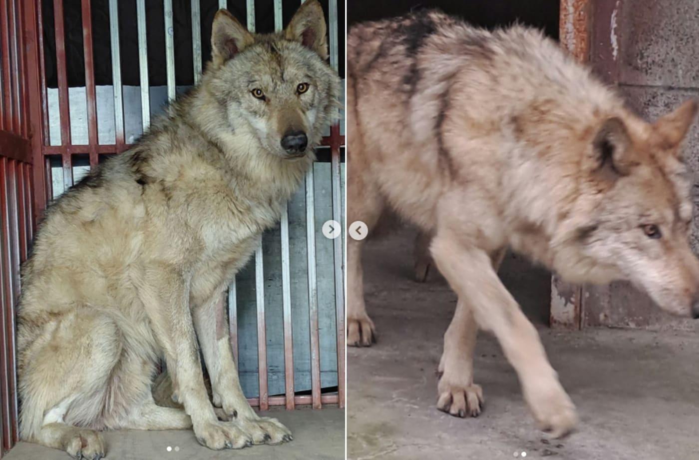 본문 이미지 - 대전시 공식 인스타그램