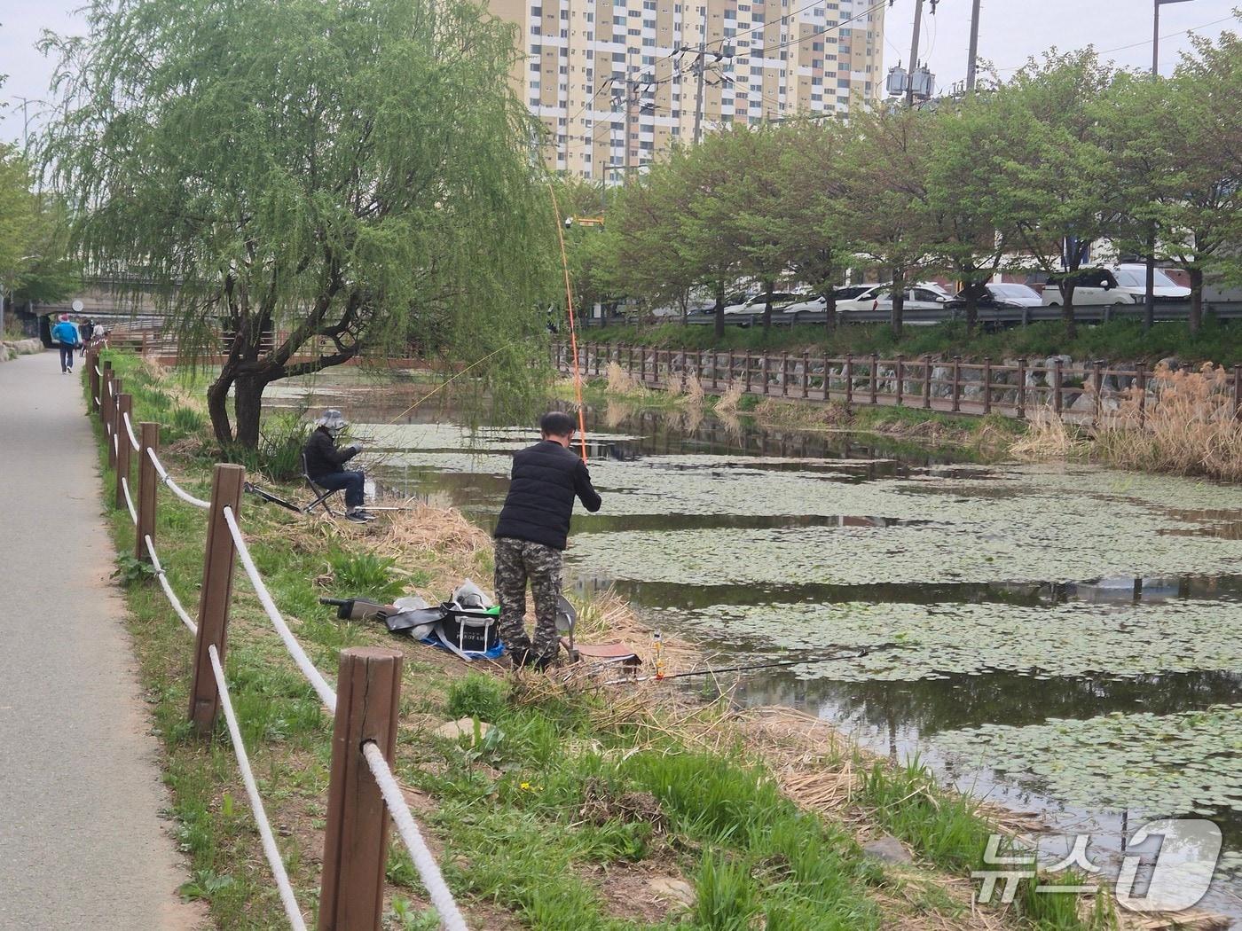 본문 이미지 - 17일 한 시민이 인천 서부간선수로에서 낚시를 즐기고 있는 모습/뉴스1