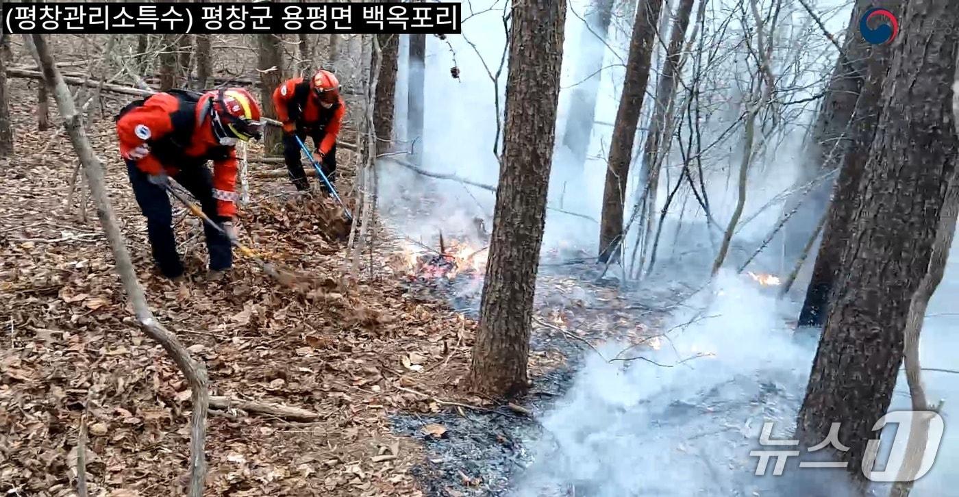 본문 이미지 - 강원 평창 대관령면 병내리 산불 현장.(산림청 제공, 재판매 및 DB금지)