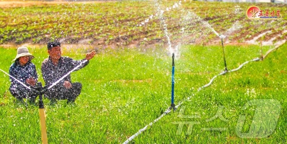 본문 이미지 - (평양 노동신문=뉴스1) = 북한 노동당 기관지 노동신문은 19일 사동구역 송신남새(채소)농장에서 가물(가뭄) 피해를 미리 막기 위한 대책을 철저히 세워나가고 있다고 보도했다. [국내에서만 사용가능. 재배포 금지. DB 금지. For Use Only in the Republic of Korea. Redistribution Prohibited] rodongphoto@news1.kr