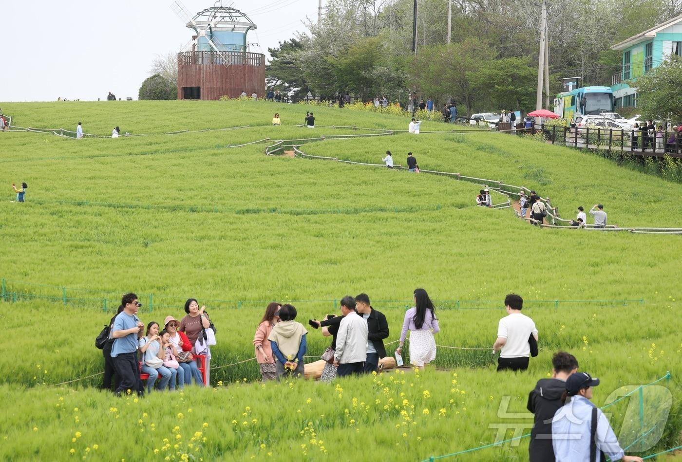 본문 이미지 - 고창 청보리밭 축제가 한창인 19일 전북 고창군 학원농장을 찾은 나들이객들이 산책로를 거닐고 있다. 2026.4.19 ⓒ 뉴스1 유경석 기자