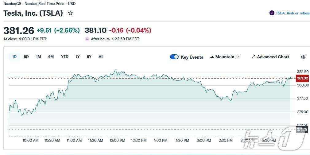 본문 이미지 - 테슬라 일일 주가 추이 - 야후 파이낸스 갈무리