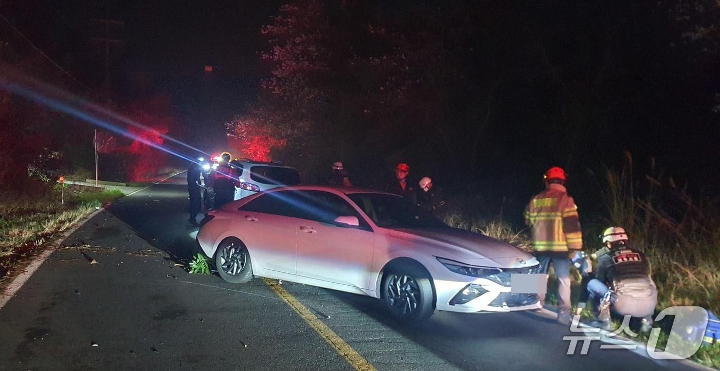 본문 이미지 - 사고 현장(제주소방본부 제공. 재판매 및 DB금지)/뉴스1