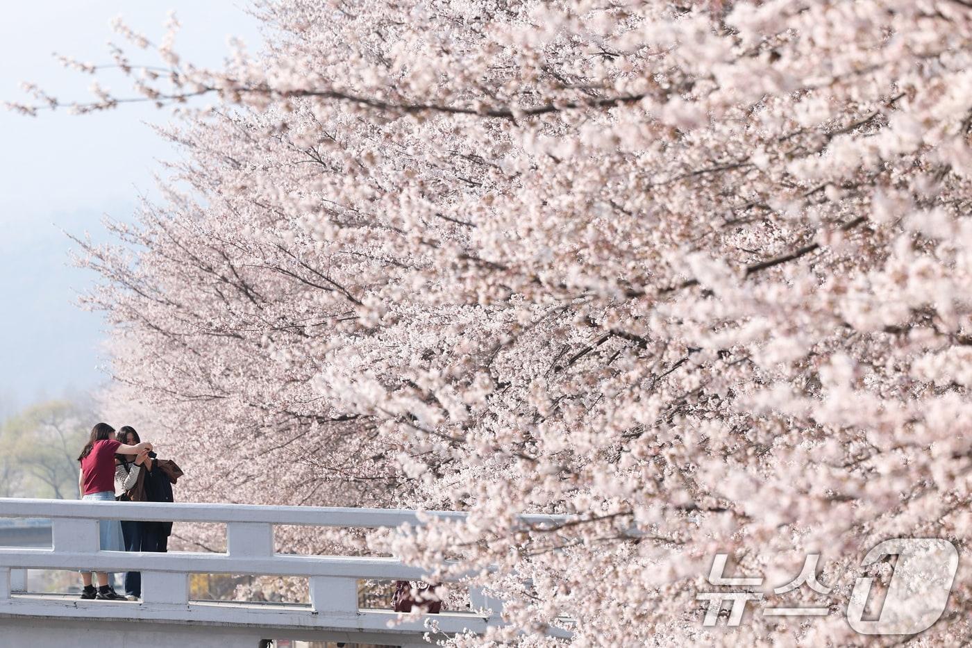 본문 이미지 - 〈자료사진〉